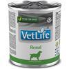 Farmina Vet Life dog renal 300 g