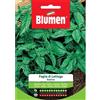 Blumen basilico foglia di lattuga