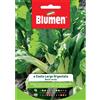 Blumen bieta verde a costa larga argentata