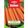 Blumen carota mezza lunga nantese