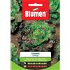 Blumen lattuga canasta