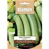 Blumen zucchino chiaro genovese