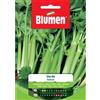 Blumen sedano verde