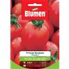 Blumen pomodoro principe borghese