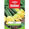 Blumen zucchino da fiore