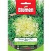 Blumen indivia riccia a cuore d'oro