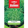 Blumen indivia riccia da taglio