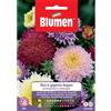 Blumen astro principessa gigante doppia in miscuglio