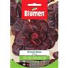 Blumen cicoria grumolo rosso