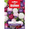 Blumen astro bouquet in miscuglio