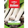 Blumen porro gigante bianco