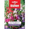 Blumen balsamina o begliuomini a fiori doppi