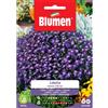 Blumen lobelia missis clibran