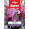 Blumen piselli odorosi in miscuglio