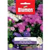 Blumen astro pinocchio in miscuglio