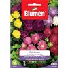 Blumen astro nano da bordura in miscuglio