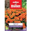 Blumen tagete nano doppio arancio