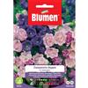 Blumen campanula doppia in miscuglio