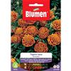 Blumen tagete nano bronzato