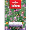 Blumen prato giapponese alto in miscuglio