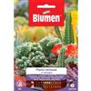 Blumen piante cactacee