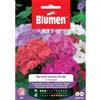 Blumen geranio zonale ibrido f2 in miscuglio