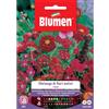 Blumen melange di fiori estivi rossi