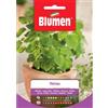 Blumen melissa