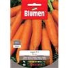 Blumen carota ingot f.1