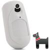 Risco ROKONET RWX95CMP800A EYEWAWE RIVELATORE PIR PET RADIO BIDIREZIONALE CON TELECAMERA RWX95CMP800B