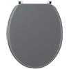 Wirquin 20717953 Sedile WC Woody, grigio