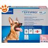 Virbac Dog Effipro Duo Spot-On 20-40 kg - Confezione Da 4 Pipette