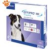 Virbac Dog Effipro Duo Spot-On 10-20 kg - Confezione da 4 pipette