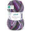 120 Gründl Lana - Big Mamma Print - Lana XXL per lavorare a maglia - Gomitolo grande 400 g / 1040 m - Gradiente di lana in 100% poliacrilico - viola-verde abete-bianco-verde muschio-lavanda