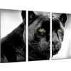 Cuadros Camara Quadri Fotocamera Poster Fotografico Multicolore, 97 x 62 cm