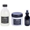 DAVINES OI KIT SHAMPOO 280ML + CONDITIONER 250ML + ALL IN ONE MILK 135ML