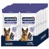ADVANCE Snacks, Articular Stick per Cane, confezione da 14 x 155 g, totale 2170 g