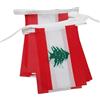 AZ FLAG Ghirlanda 6 Metri 20 Bandiere Libano 21x15cm, Bandiera Libanese 15 x 21 cm - Festone Bandierine