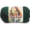 Lion Brand Yarn Marca Leone Knitting, Circa Il 78 per Cento del 22 per Cento Acrilico Sciarpa Gründl Lana, Verde Scuro/Nero