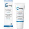 UNIFARCO SPA CERAMOL LIPOCREMA 311 100ML