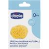 Chicco Spugna marina naturale grande per detersione del neonato