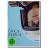 375 Media Born in Evin