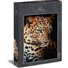 Ulmer Puzzleschmiede - Puzzle Leopardo - Ritratto animale di un nobile leopardo - eccellente fotografia animale