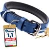 Schnüffelfreunde Collare per cane in pelle | Collari per cani in cuoio genuino - elegante e robusto (S - 24-30cm, Blu)