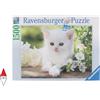 RAVENSBURGER PUZZLE ANIMALI RAVENSBURGER GATTI GATTINO BIANCO 1500 PZ