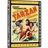 Quadrifoglio Tarzan e la sua compagna (Cineteca Avventura)