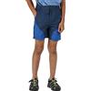 REGATTA SOCER MOUNTAIN SHORT KIDS Pantalone Corto Bambino