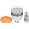 Westcott Bulbo LED 45W Daylight con filtro di conversione al tungsteno e Radiocomando dimmer Westcott