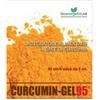 Bioenergetic Lab Curcumin Gel 95+ Integratore antiossidante per funzionalità articolare 20 bustine