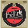 D'ADDARIO J4505LP